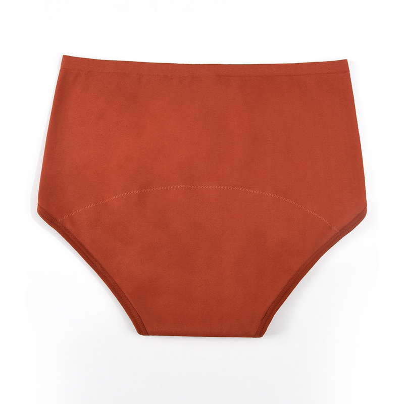 Celana Dalam Wanita Tanpa Jahi - Period Panty Absorbent ulasan dan harga